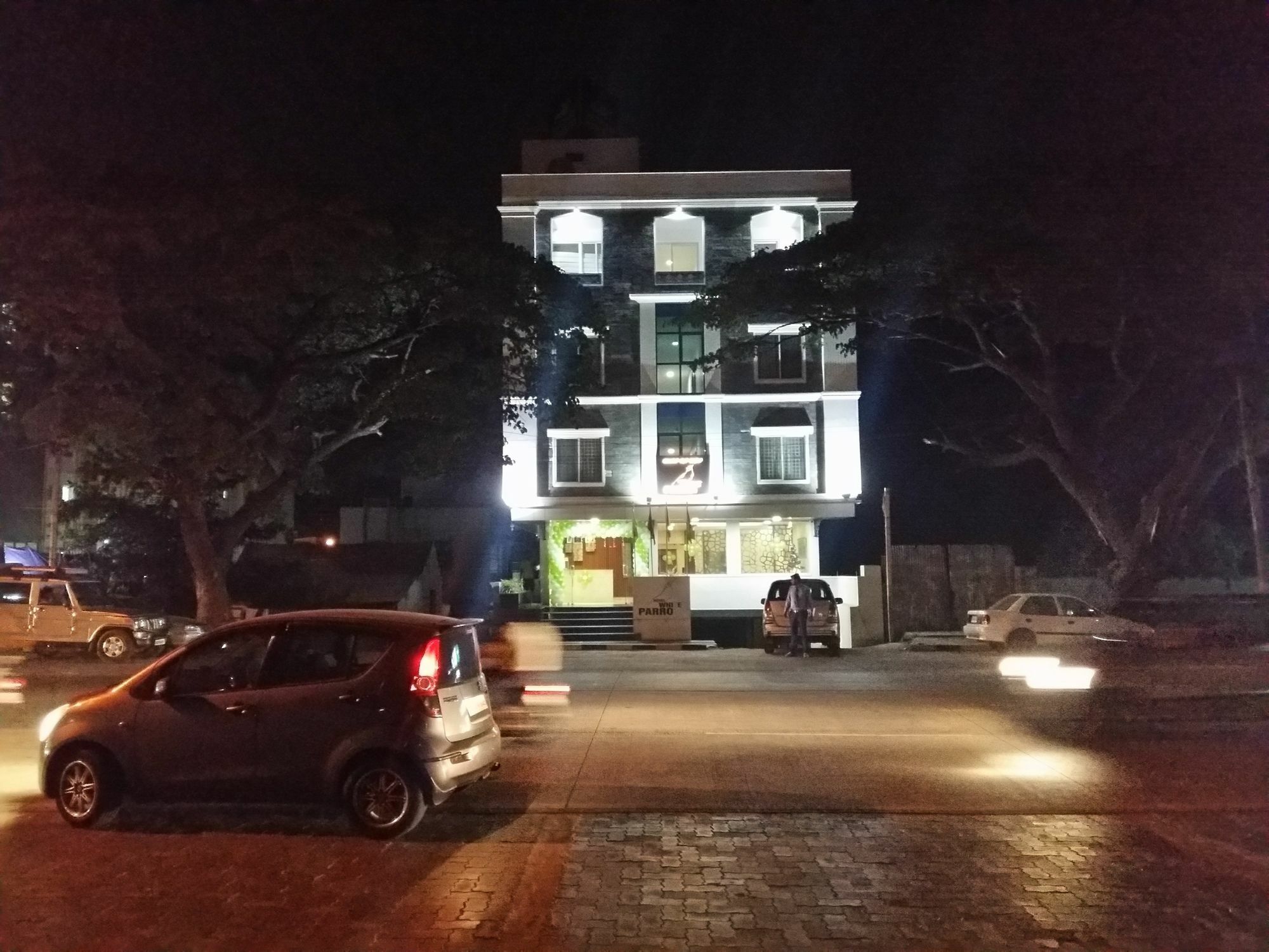Hotel White Parrot マイソール エクステリア 写真
